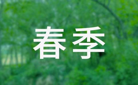 春季学期少先队工作总结