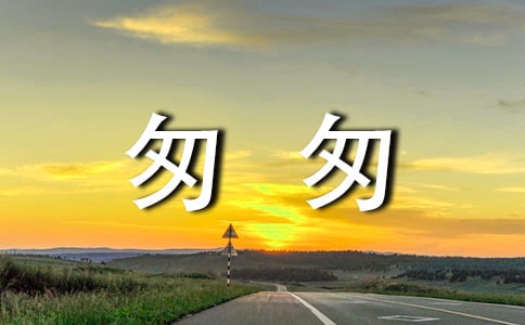 最全匆匆那年经典台词
