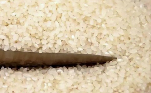 大米买卖协议