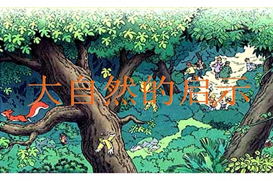来自大自然的启示作文