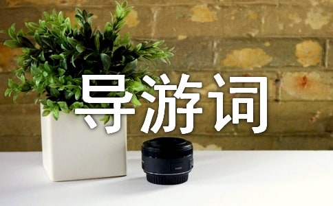 贵州织金洞导游词