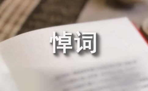 农村丧事追悼会悼词(经典19篇)