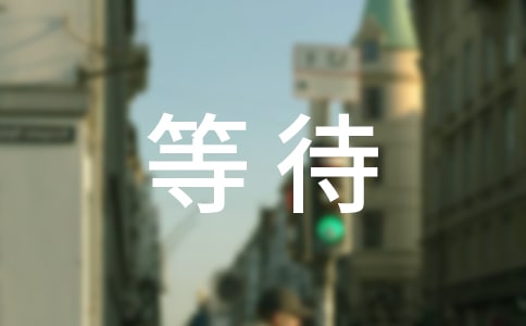 独自等待经典台词集锦