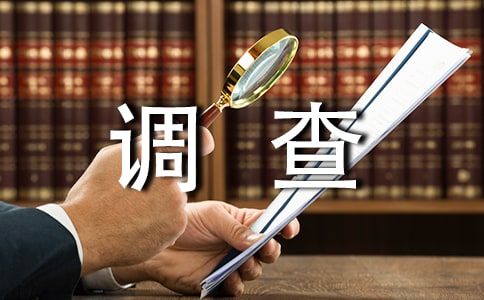 暑假调查社会实践报告格式