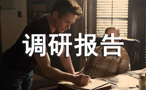 暑假社会实践调研报告12篇