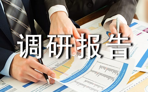 税法调研报告格式范文