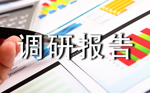 暑假实践活动工作调研报告模板