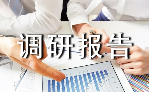 寒假社会实践调研报告优秀