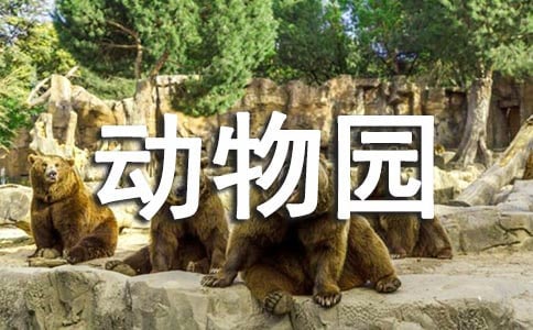 动物园调研报告5篇(热)