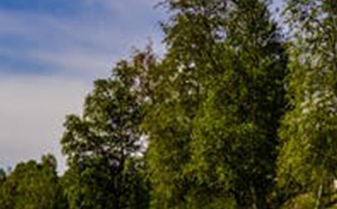 经典空间说说:离去的都是风景,留下的才是人