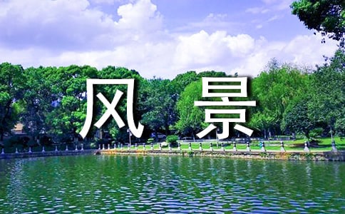 沿途风景的说说