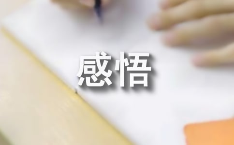 经典禅语佛家感悟