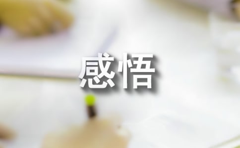 【实用】感悟人生语句40句