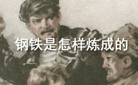 《钢铁是怎样炼成的》小学生读后感900字