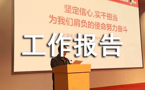 档案自查工作报告