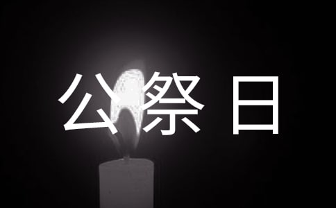 小学国家公祭日系列主题活动总结