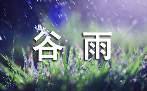 谷雨朋友圈经典语录