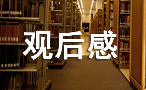 ��һ�ر��Ŀ������������ۺ��