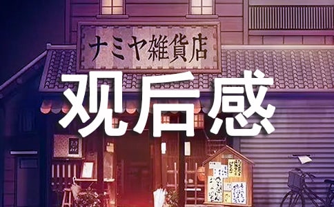 功夫小龙观后感