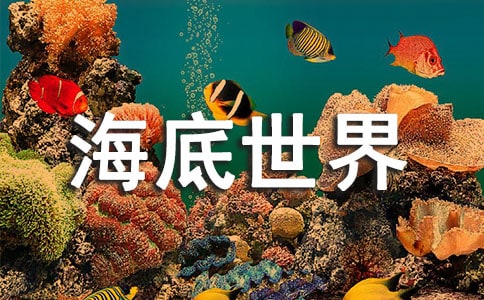 海底世界小学生手抄报