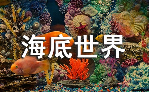 海底世界手抄报的图片