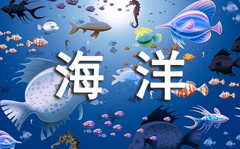 海洋运输货物保险合同
