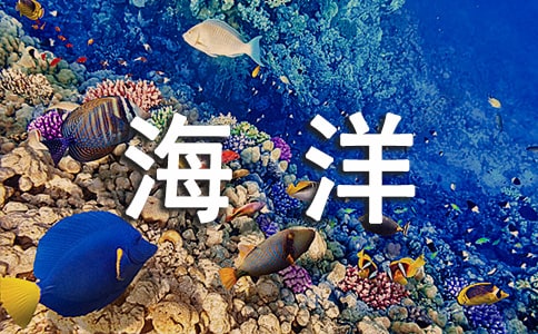 保护海洋环境倡议书