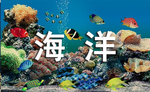 浅析海洋经济的发展与海洋环境保护问题