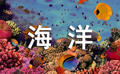 �غ�������ҵ���ϰ��깤���ܽ�