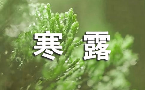 ��¶����˵˵