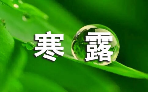 寒露吃什么水果好