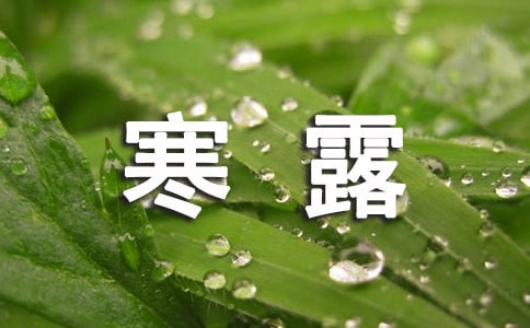 寒露节气语录