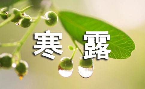 寒露说说唯美