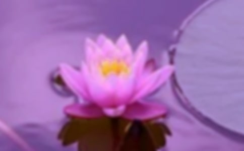 浅析群众文化对社会和谐发展的重要性