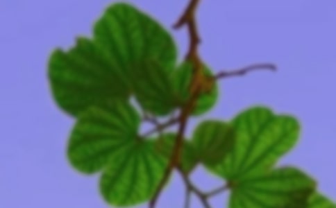 老和谐思想的基本构造及其现实价值