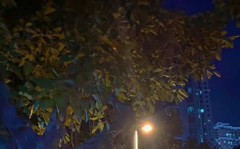 黑夜一个人孤独的说说