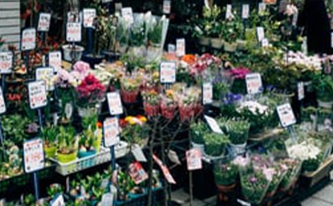 寒假花店实践实践报告3000字