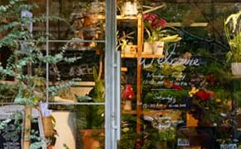 创意鲜花店创业计划书