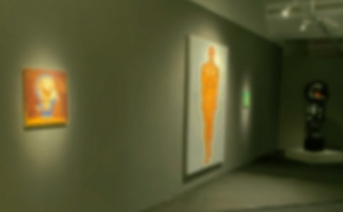 ��չ�ۺ��12ƪ