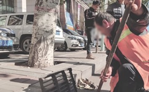 环卫中心工作总结