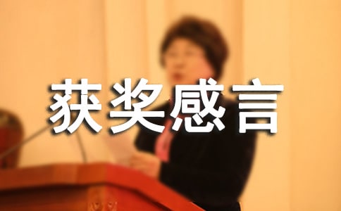 书法大赛获奖感言13篇