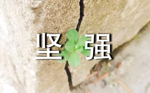 �����ǿ˵˵�������90�侫ѡ