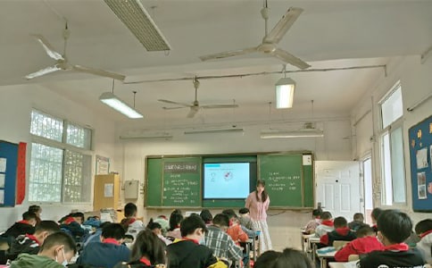 提高小学科学教学质量的思考