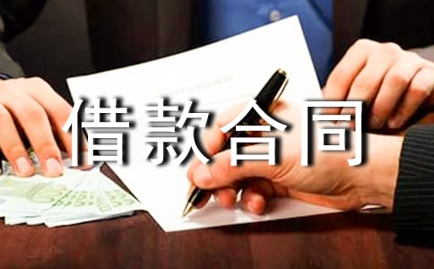 有担保人的借款合同范本