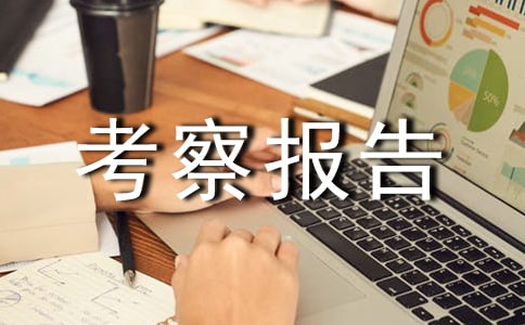 干部考察报告格式范文