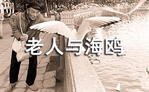�������뺣Ÿ�����������