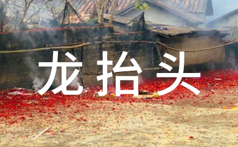 二月二龙抬头活动总结与反思(精选25篇)