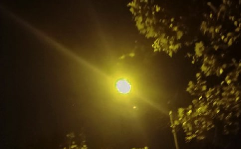 论《歧路灯》语言的地域性文化特征