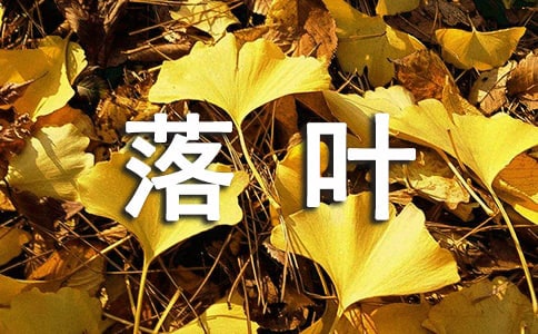 满地的落叶的说说文案