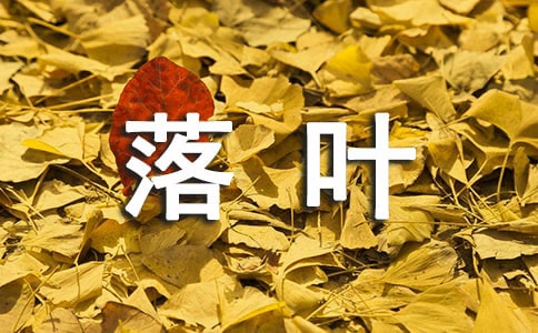 ʧ��Ҷ����¼����ѡ100�䣩
